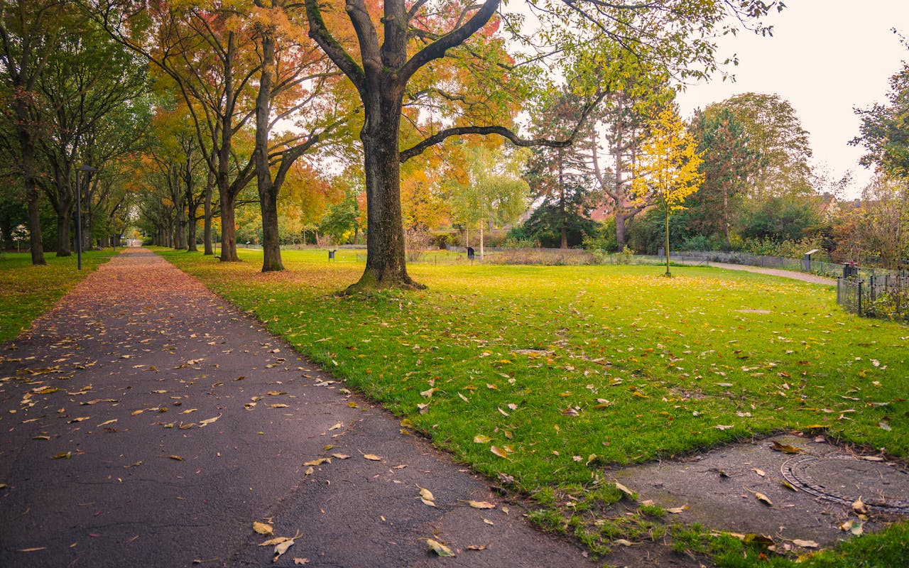Energieeffizienz beim Hauskauf 2026 – Wertfaktor und Pflichten